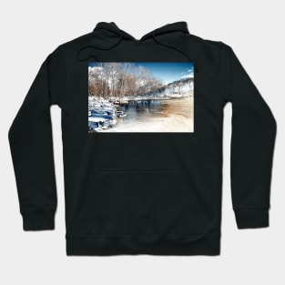 Winter In The Park - Infrared Hoodie